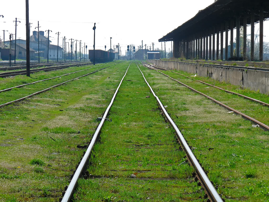 402 : Oradea - Carei - Satu Mare - Halmeu P1060074