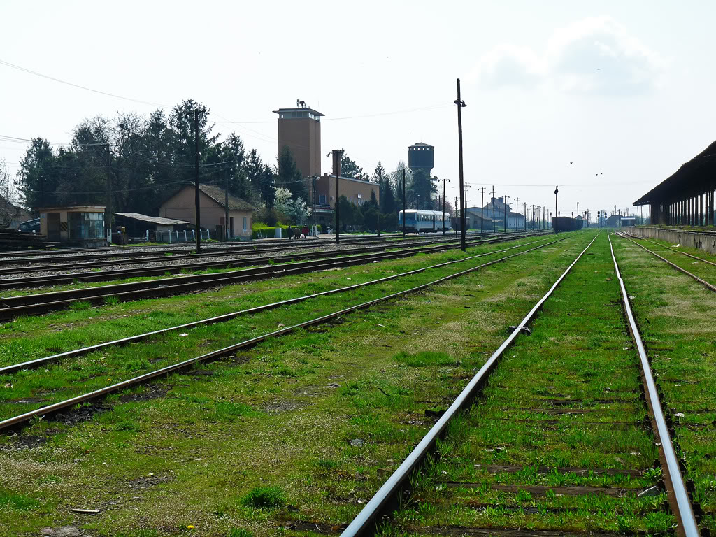 402 : Oradea - Carei - Satu Mare - Halmeu P1060075