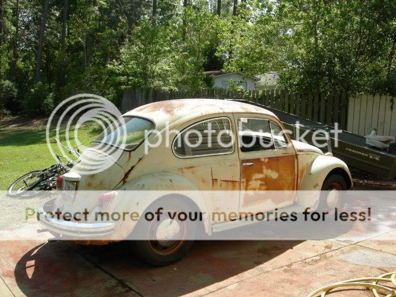 whats up 68vwbug029