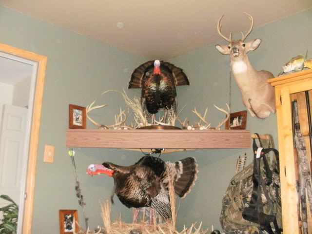 Lets see your deer mounts! Mounts005