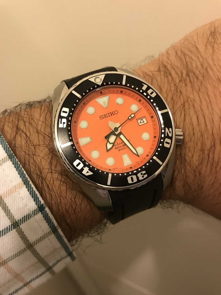 SBDC005: Seiko Sumo Naranja: A la caza y captura!! 13361E8D-83B2-49C0-8ABF-2C240E71B5AA_zpsc1gxee6i