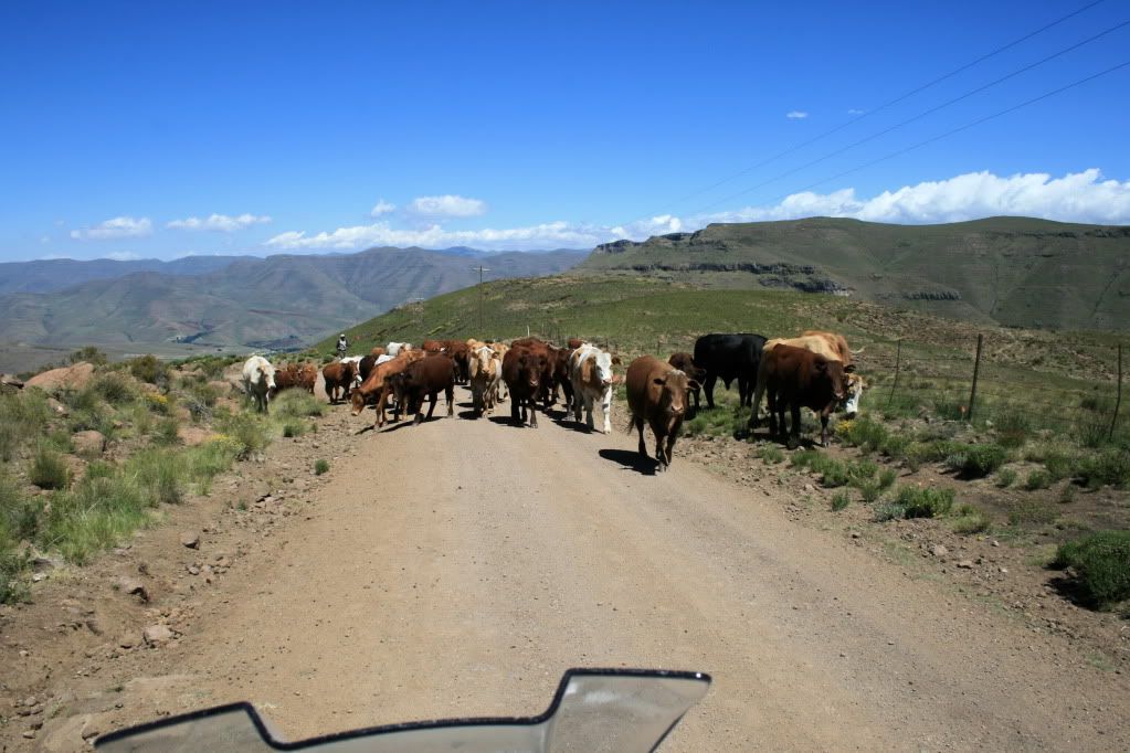 4000km to Clarens IMG_2729