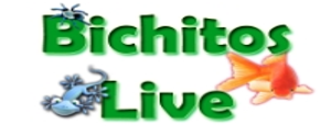 Ganador de concurso de aniversario 2013 Bichitoslive_zps92f5ce6d