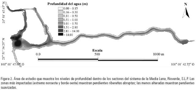 Manantial de la media luna y peces de diurnas Profundidadmedialuna