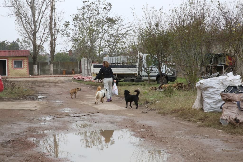 Le refuge en Novembre  HX9A4888_zpsefa24ecd