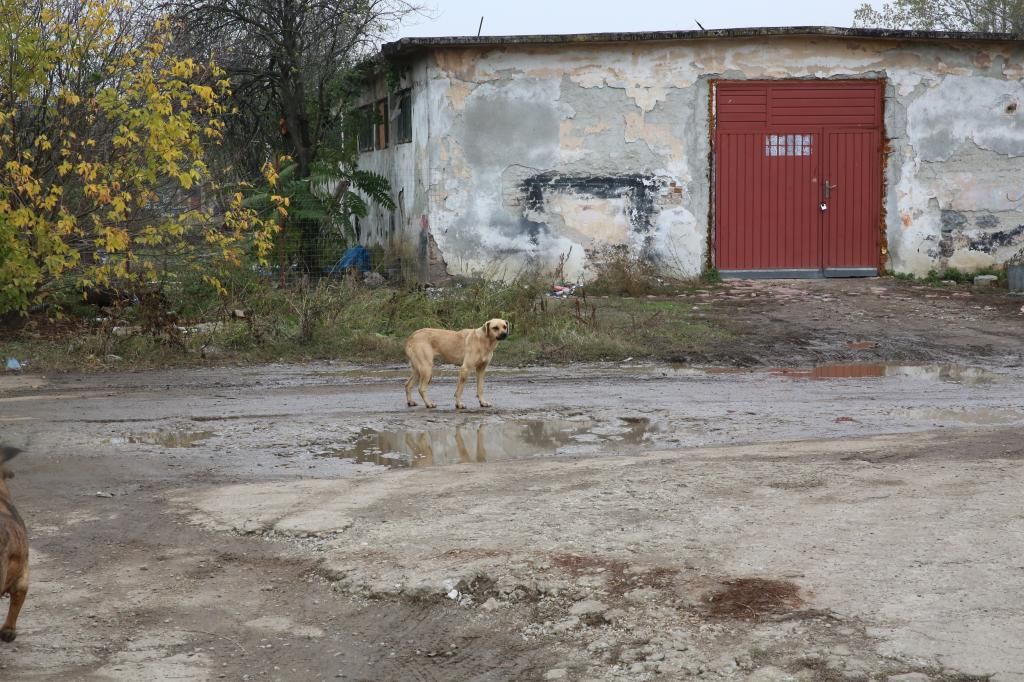 Le refuge en Novembre  HX9A4890_zps6117720c