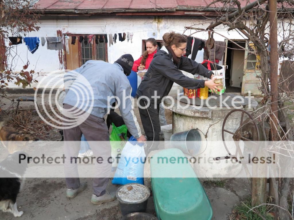 Colis de Muriel K et croquettes du WE... IMG_1854_zps86b5596f