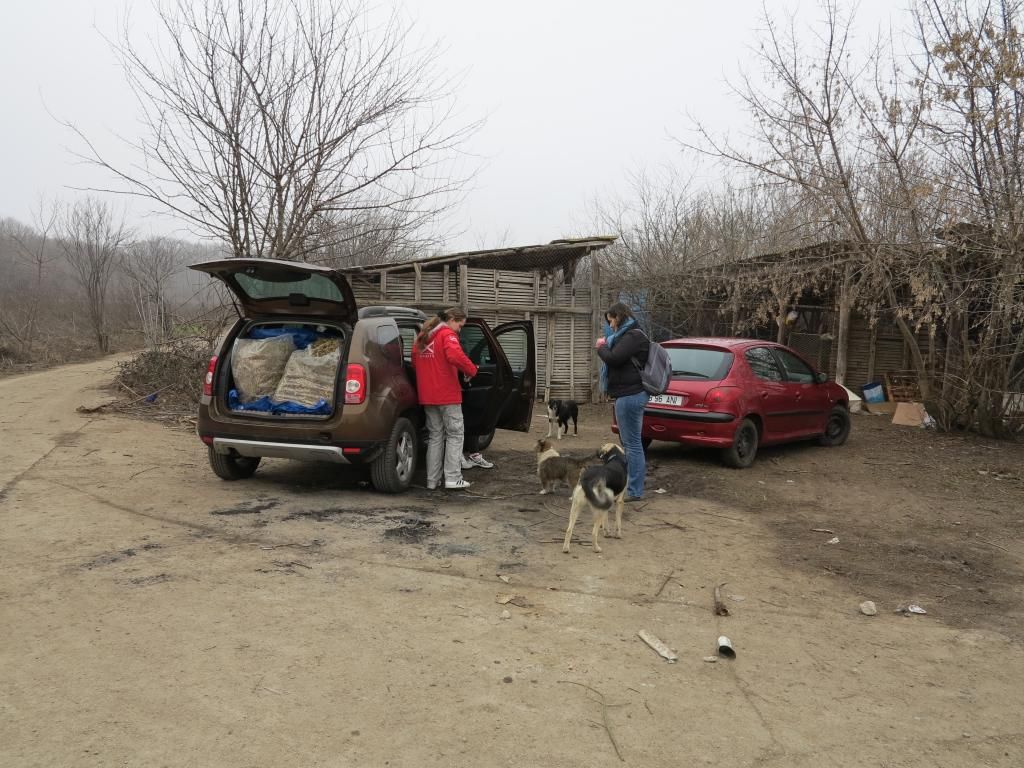 Le refuge samedi 04 janvier 2014 IMG_2282_zps3e89b1ef