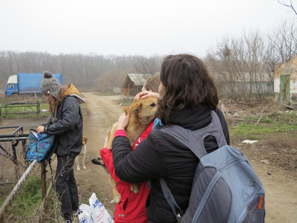 Le refuge samedi 04 janvier 2014 IMG_2342_zpse51536ce