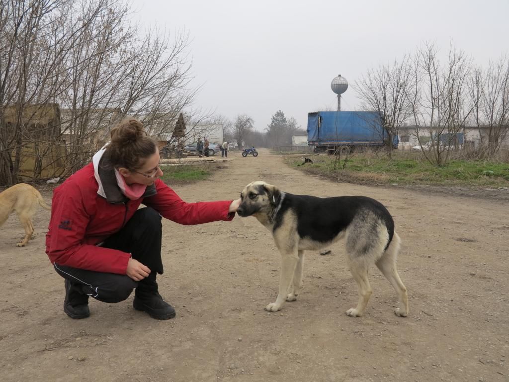 Irina et les chiens au refuge. Mars 2014. IMG_2808_zps4390bada