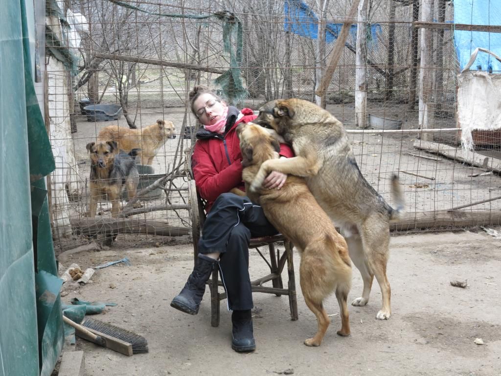 Irina et les chiens au refuge. Mars 2014. IMG_2982_zps74afe33c