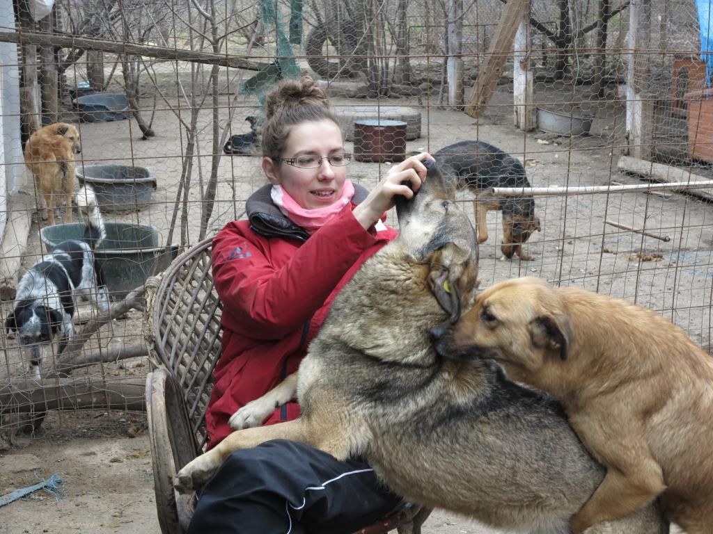 Irina et les chiens au refuge. Mars 2014. IMG_2985_zps43fc4125