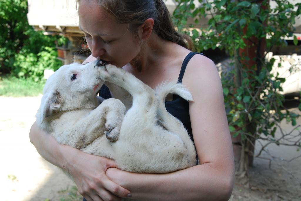 Lyana, sœur de Thaïs et de Yoko, petite puce adorable - née en avril 2014 DSC_0416_zps926f1906