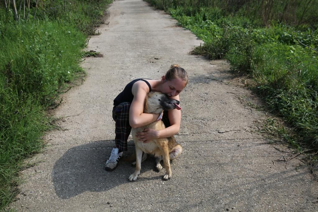 Les promenades des chiens au refuge... HX9A1951_zpsbdc58450