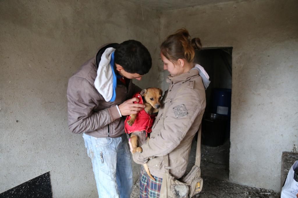 Petite Zoé, abandonnée dans le froid, dehors. Née en avril 2013 HX9A4489_zps8cd3e0e7