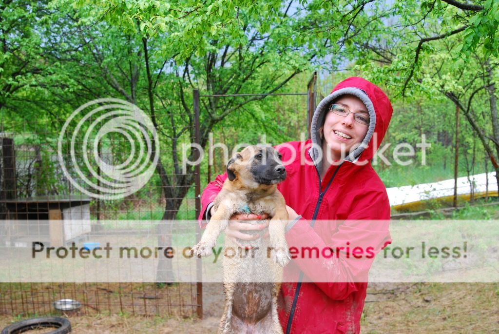 Salomé, petite puce née en janvier 2014, très sociable. DSC_0267_zpsf8633462