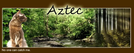 The Adventure Aztec