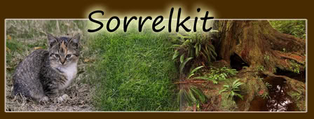 Een leerzame avond voor Sorrelkit >