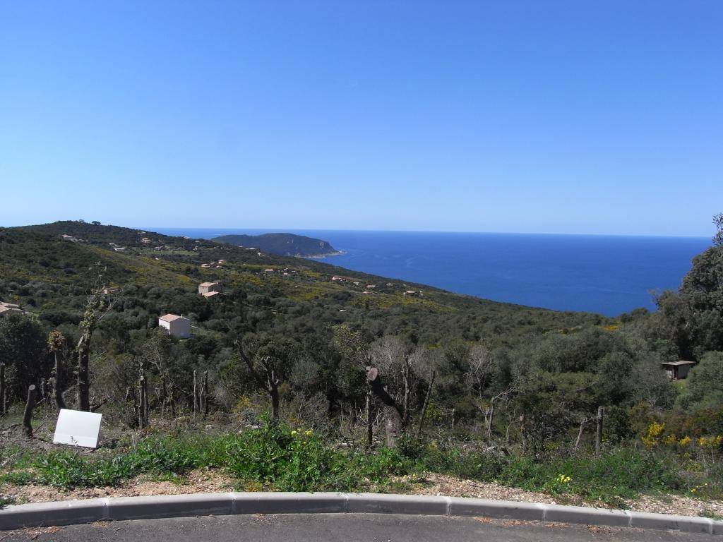 8 dagen Corsica met de motor RIMG0372_zps9f626e1e