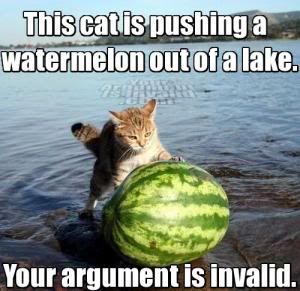 Chat oficial Off Topic - Página 9 The_cat_is_pushing_a_watermelon_out_of_a_lakethumbnail