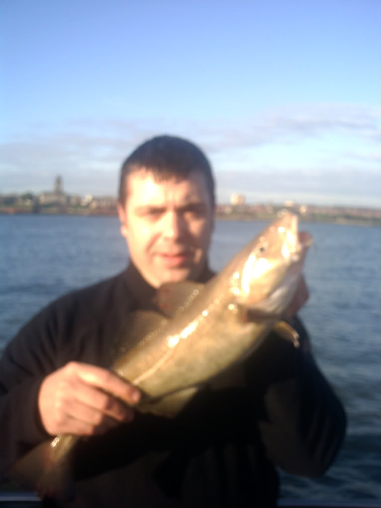 Goldilocks on the mersey Fishing003-1-1