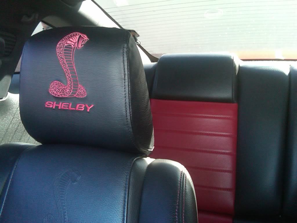 Shelby GT500 headrests anyone? IMG01187-20110302-1431