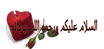 مجموعة رائعة من صور الفراشات Awlstyle94