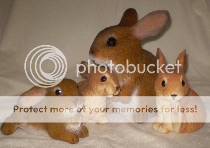 More dumped bunnies U/D pictures added Lynnesbunnyfamily008x2