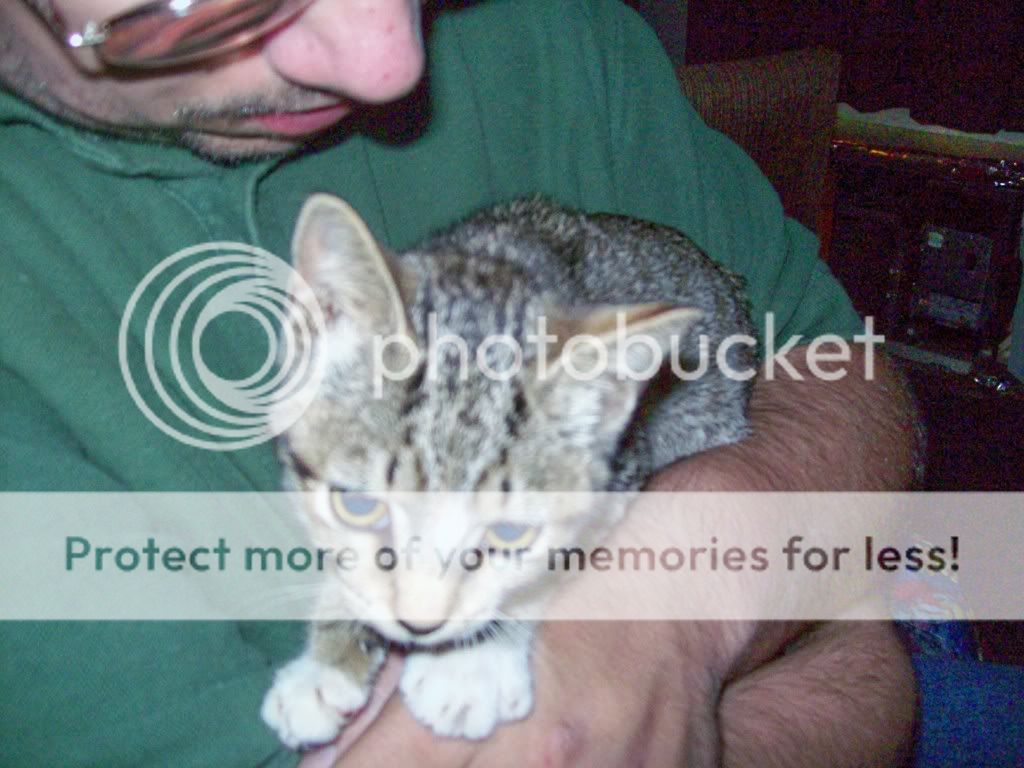 Photobucket