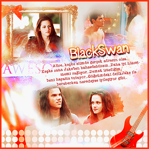 • тωιℓιgнт ƒαη ¢ℓυв •  ♥  ~ - Sayfa 2 Blackswanwall