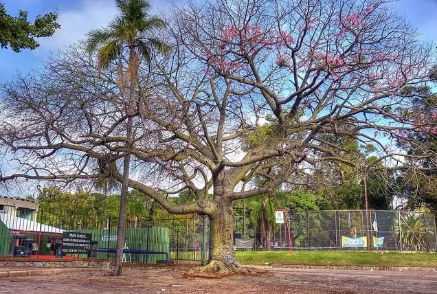 Fotos de tu casa, barrio o Ciudad :D 232323