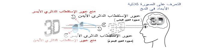 لاول مرة، نظارات جديدة من انفيديا ستغير نظرتك للافلام والالعاب والصور بطريقة واقعية!! 3d3copyAr