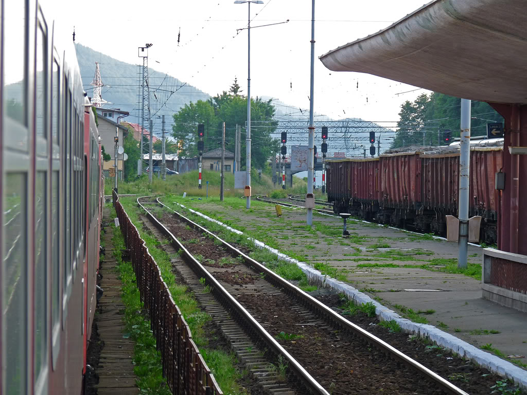 Cluj Napoca - Bucuresti - Constanta P1080356