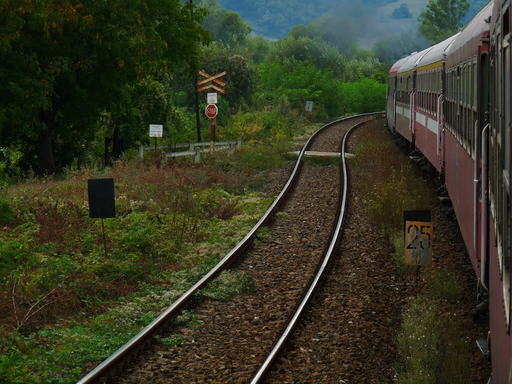 Restricţii şi limitări de viteză P1030227