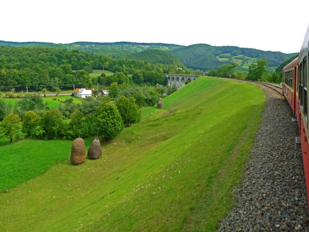 Viaducte din Romania P1020828