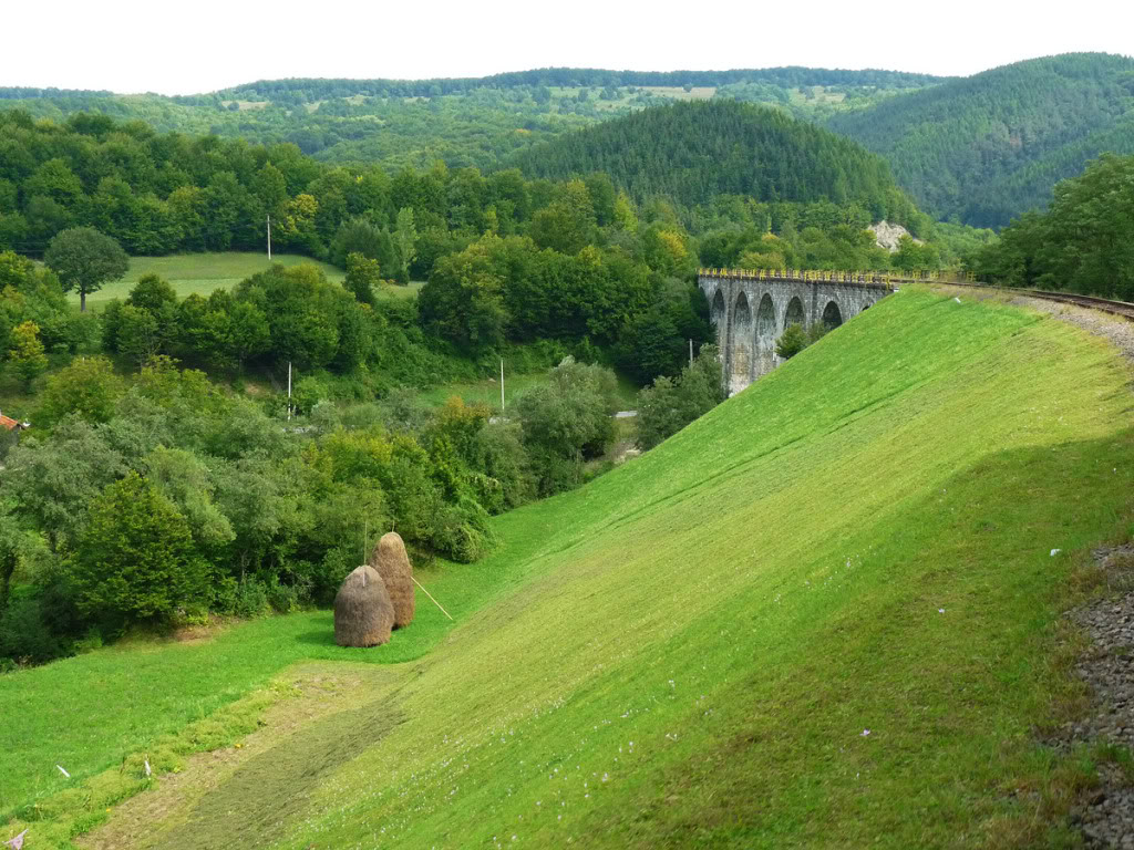 Viaducte din Romania P1020829