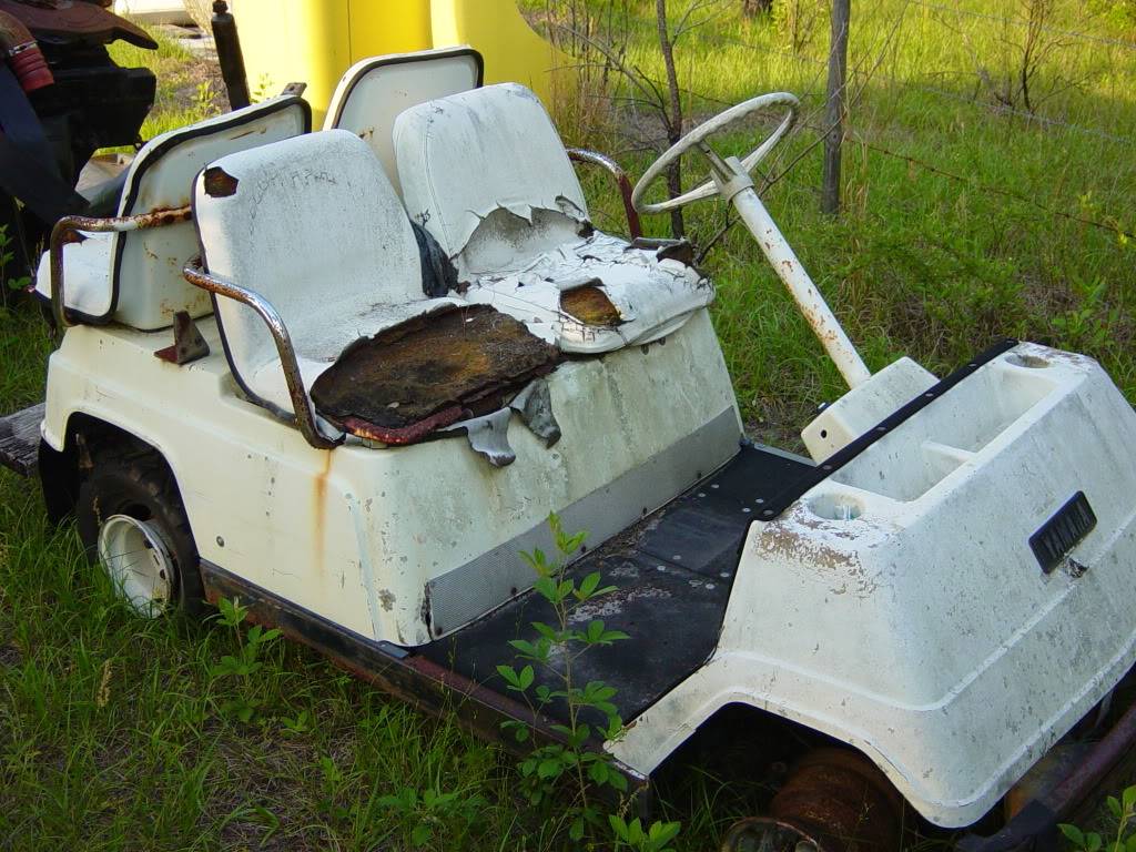 My Golf Cart Before2