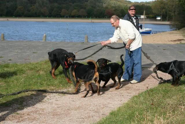 Wandeling Groesbeek Afbeelding061