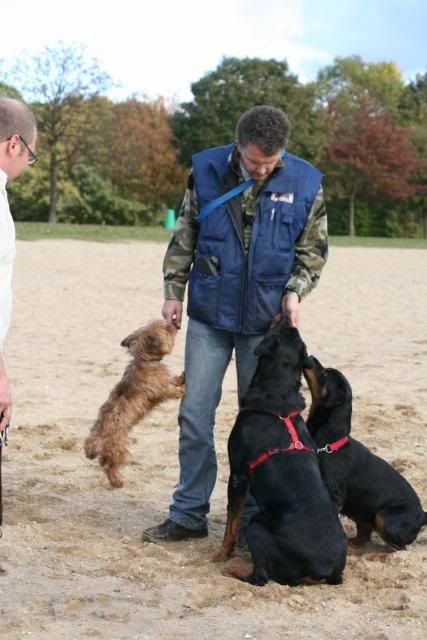 Wandeling Groesbeek Afbeelding093