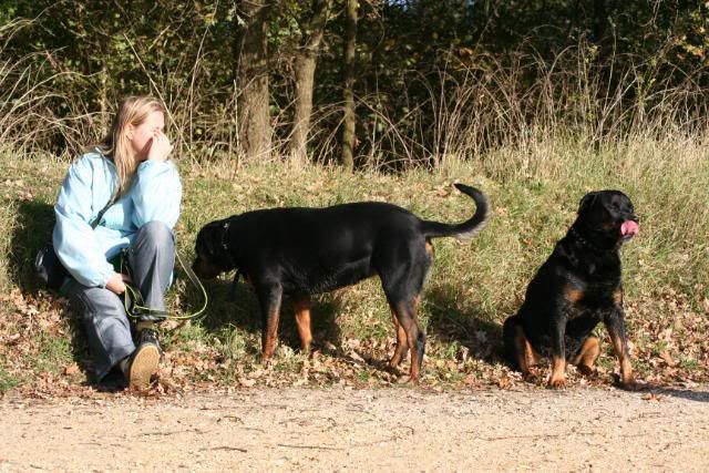 Wandeling Groesbeek Afbeelding115