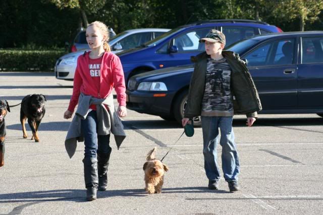 Wandeling Groesbeek Afbeelding133