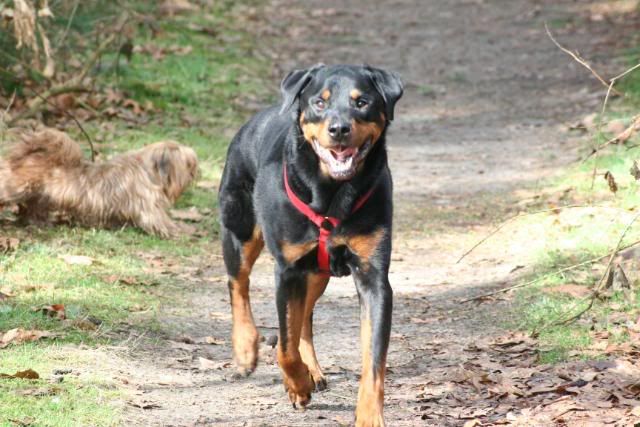 Wandelen met onze muiters ... Afbeelding003