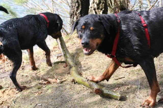 Wandelen met onze muiters ... Afbeelding027