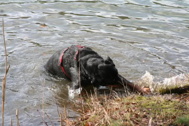 Wandelen met onze muiters ... Afbeelding033