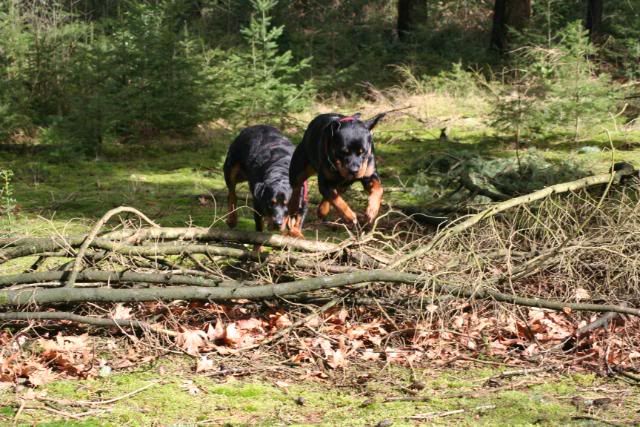 Wandelen met onze muiters ... Afbeelding041