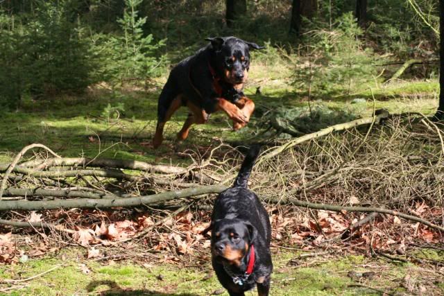 Wandelen met onze muiters ... Afbeelding042