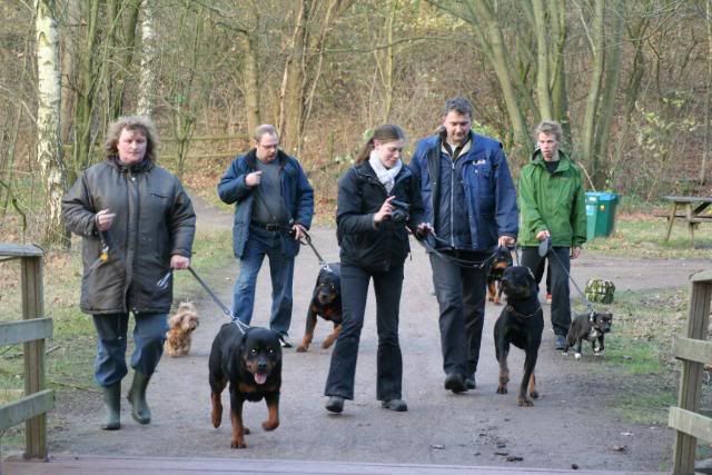 Wandeling op het Hulsbeek. Afbeelding006