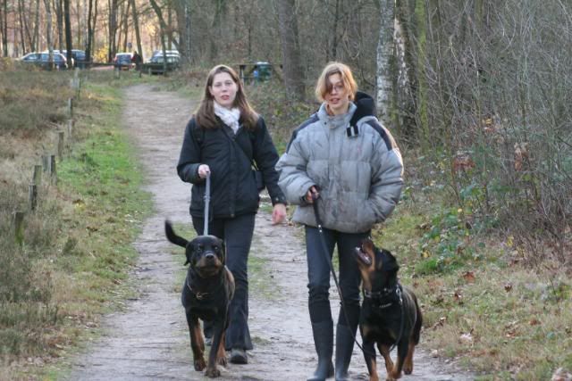 Wandeling op het Hulsbeek. Afbeelding029