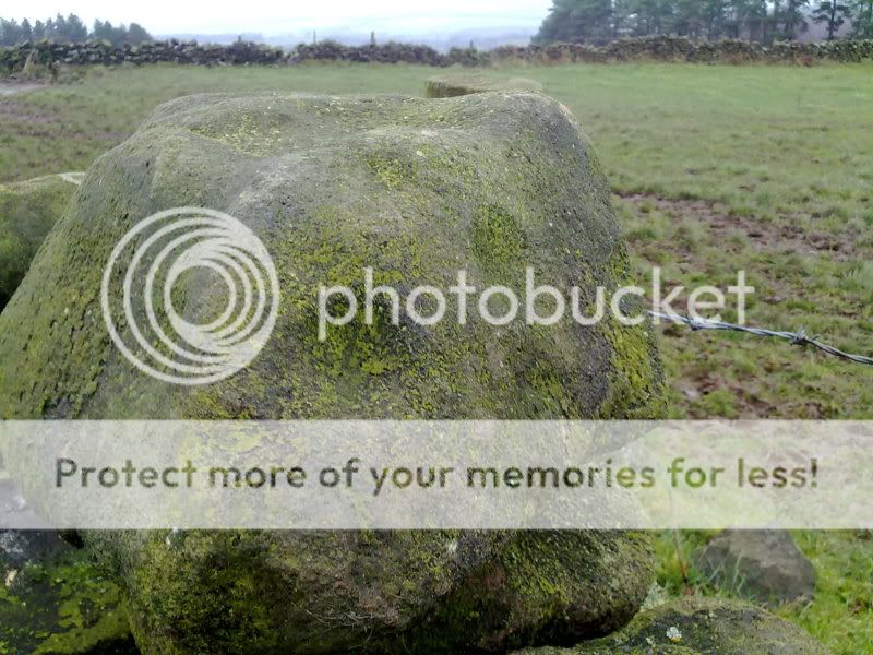 Harthill Moor Cup stone 28112009275