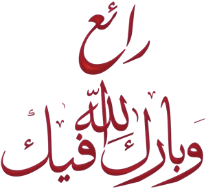 راكب يضحى بأكثر من 2000 جنيه خوفا على (بطة) بـ 75 جنيها بمطار القاهرة ANgmxG011213581-1